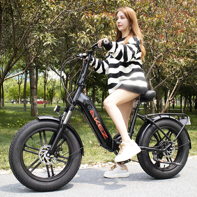 ผู้หญิงแบตเตอรี่ลิเธียมจักรยานไฟฟ้าอัจฉริยะ Brushless Controller